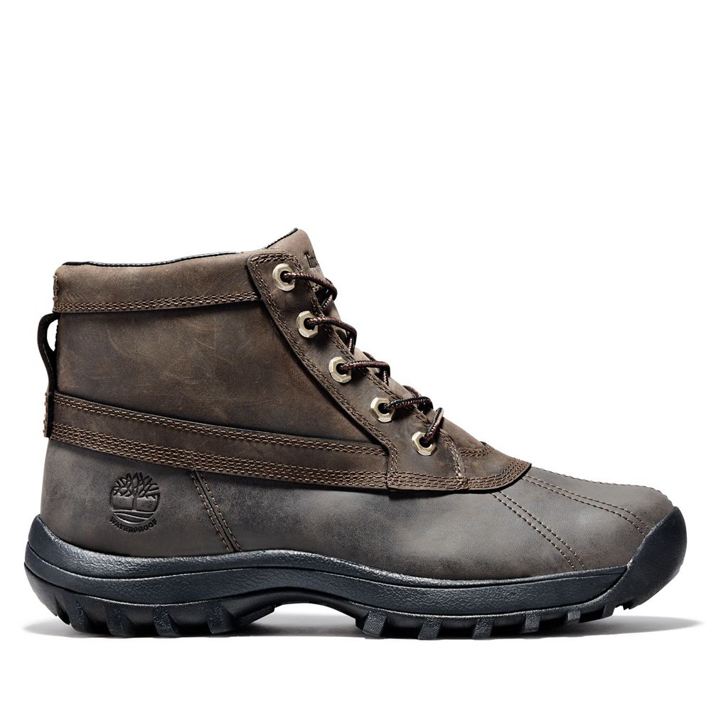 Botas de Nieve Timberland Hombre Canard Mid Waterproof Cuero Marrones - Chile FNX-670581